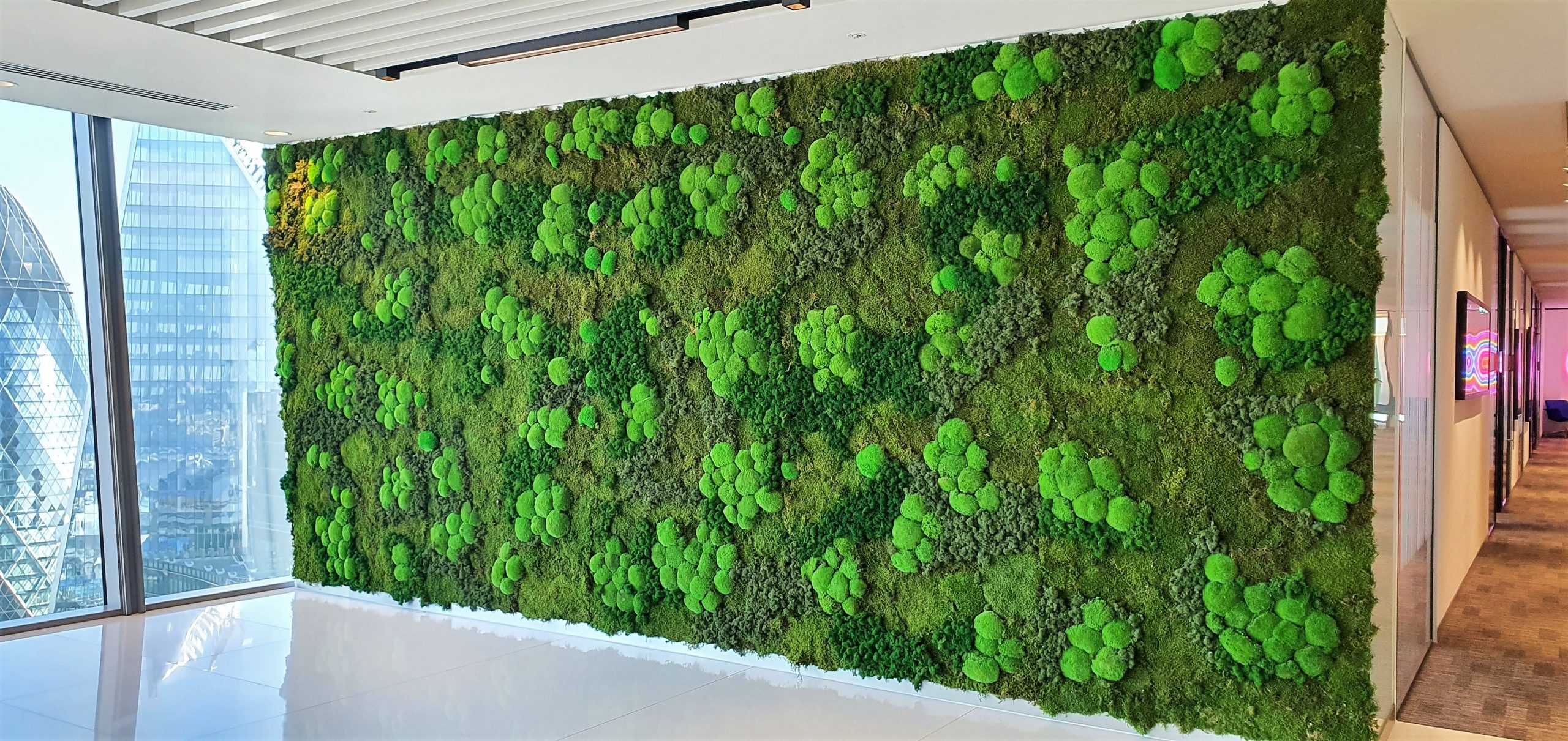 moss wall in kitchen